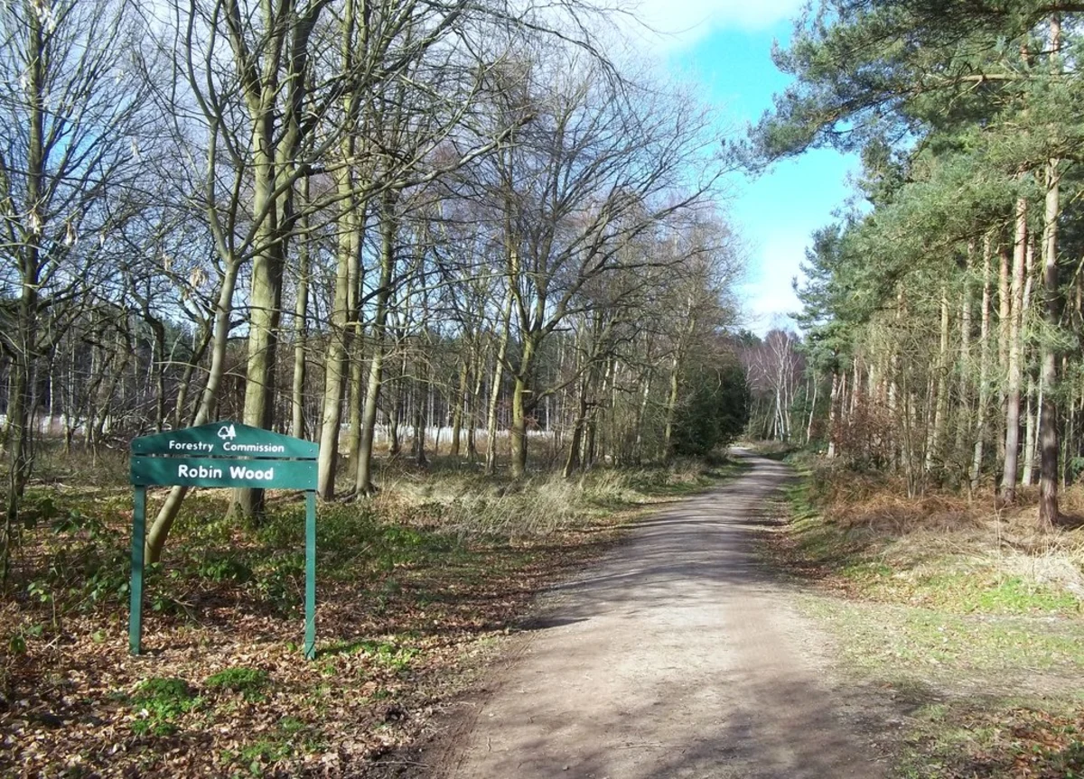 Swarkestone Gravel Pit and Robin Wood Loop