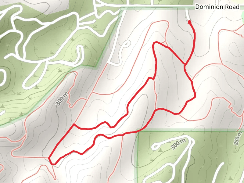 Manzanita, Acorn and east La Cuesta Loop Trail