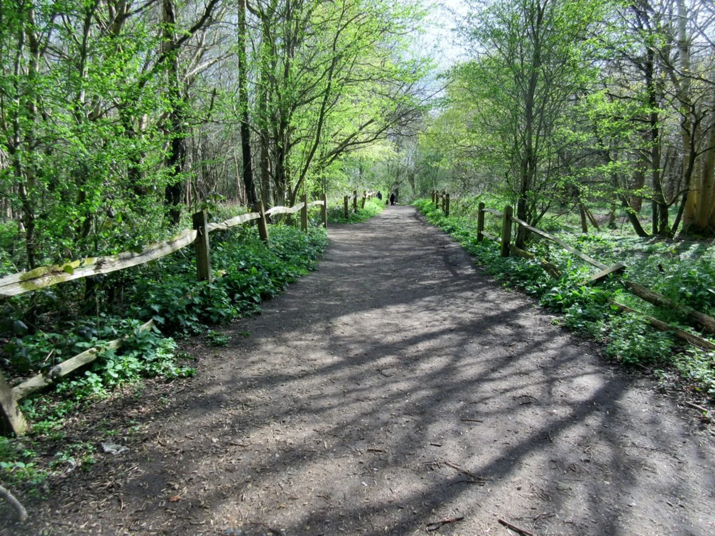 An image depicting the trail Monkmeed Woods and Perrett's Copse Loop and its surrounding area.