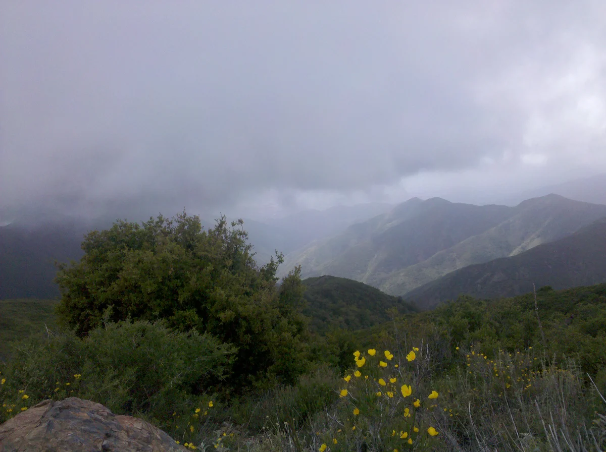 Trabuco Creek,Trabuco Canyon and Los Pinos Peak Loop Trail