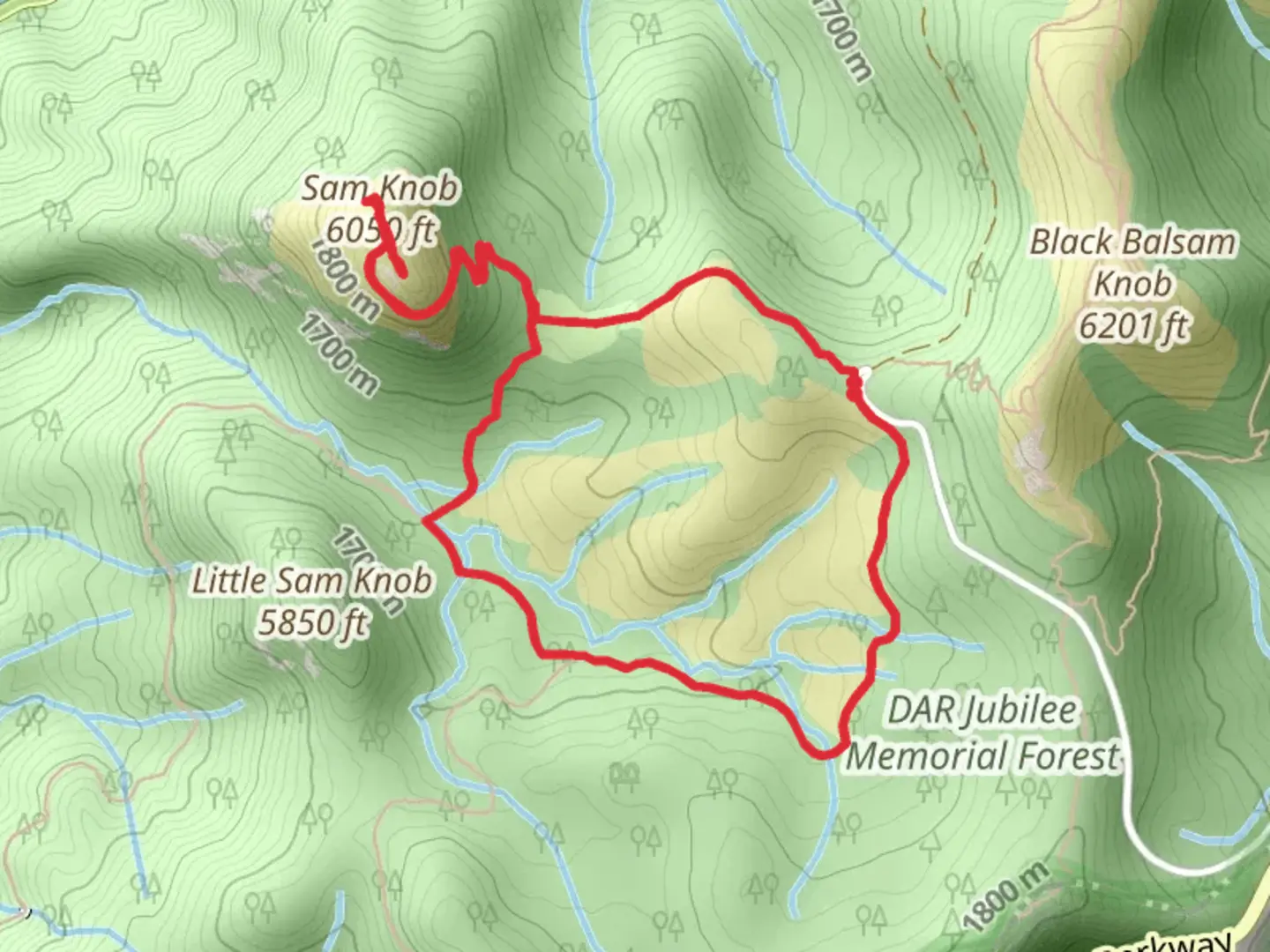 An image depicting the trail Sam Knob - Flat Laurel Creek Loop Trail and its surrounding area.