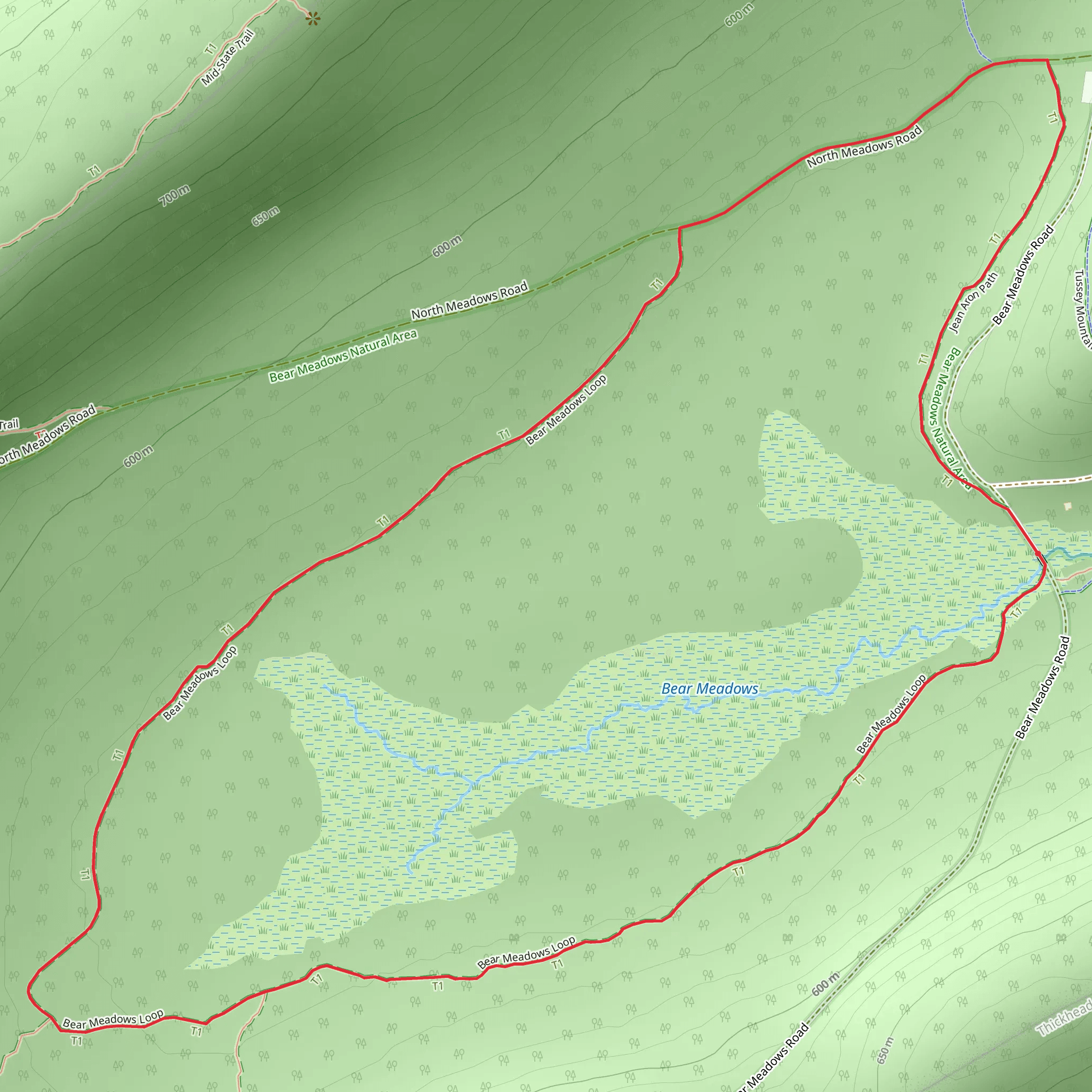 Bear Meadows Loop Trail mobile static map