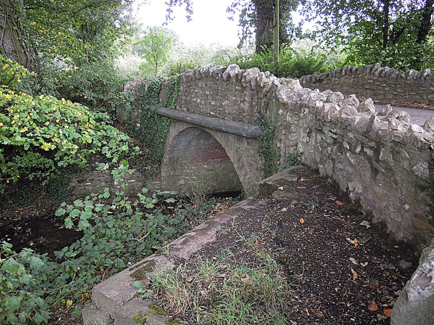 An image depicting the trail Wilton and Eastbrook via East Deane Way and its surrounding area.