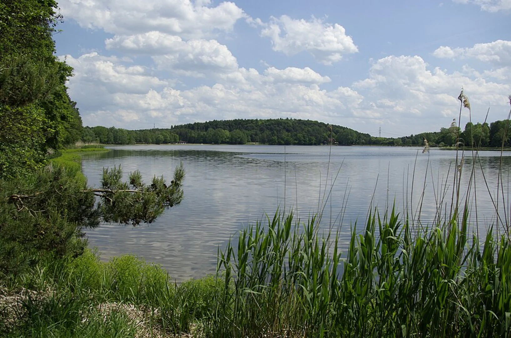 An image depicting the trail Neuwerksteg and Großer Weiher Loop and its surrounding area.