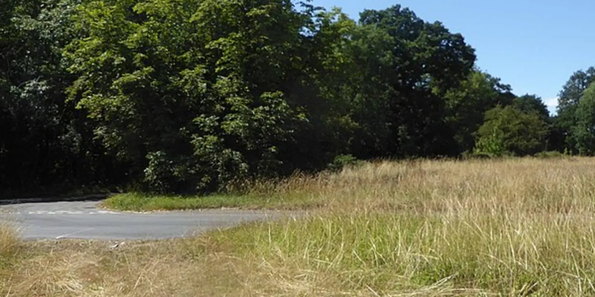 An image depicting the trail Shelton and Fritton Common from Tyrrels Wood and its surrounding area.