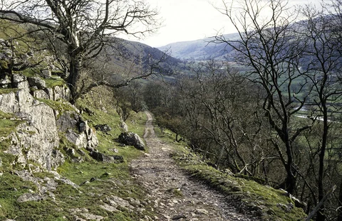 An image depicting the trail Buckden to Askrigg Walk and its surrounding area.