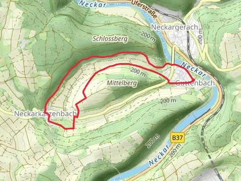 Neckarkatzenbach Weg