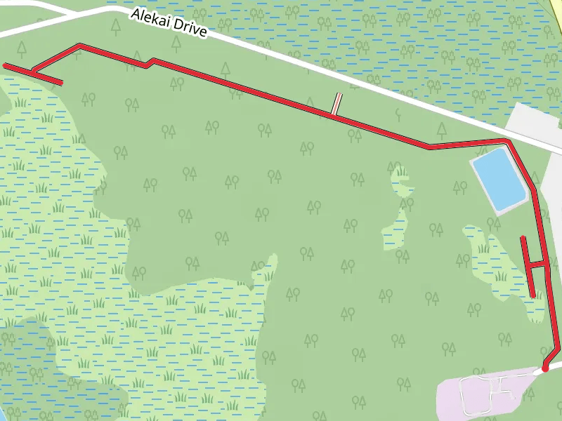 Bayou Marcus Birding Trail