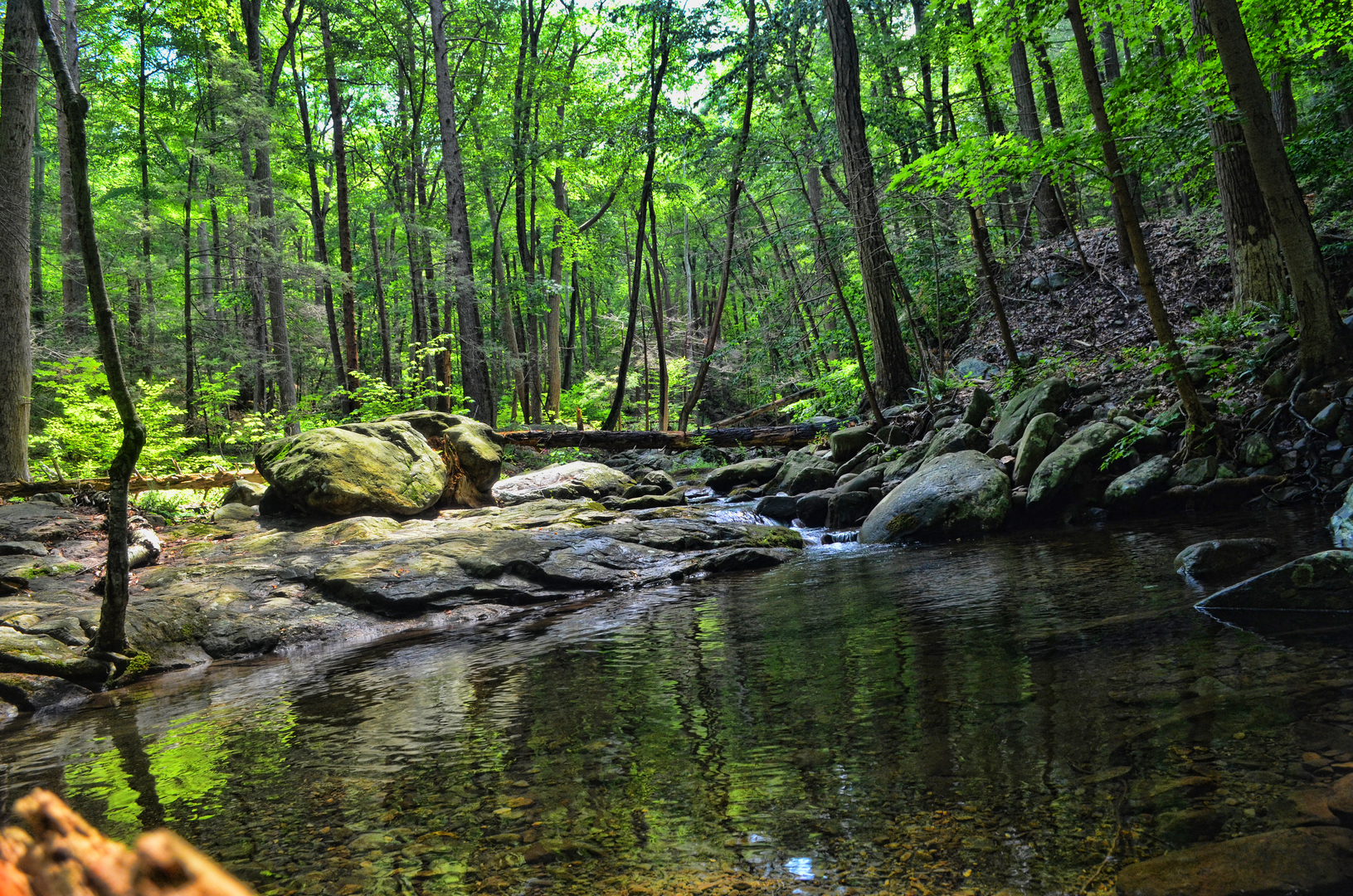 An image depicting the trail Highlands Trail and its surrounding area.