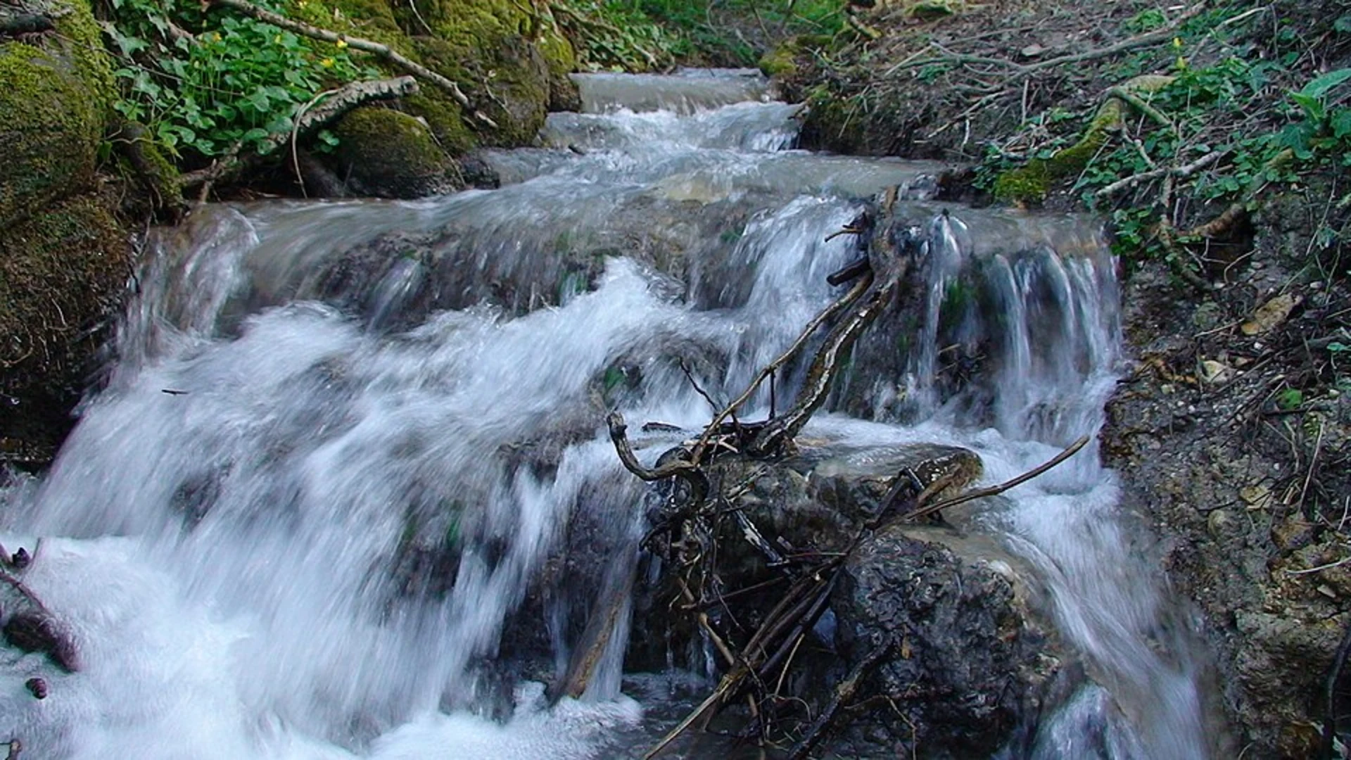An image depicting the trail Barton Hills Loop and its surrounding area.