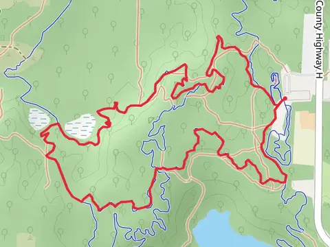 Orange and Purple Loop