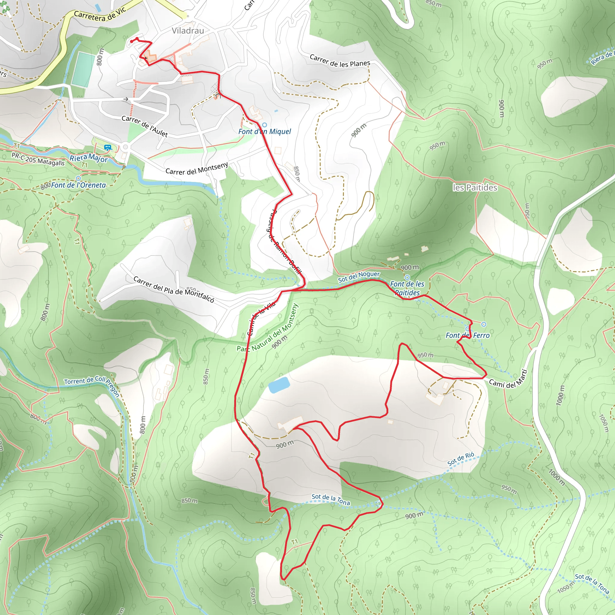Trail to Castanyer de les Nou Branques SL C 81 mobile static map
