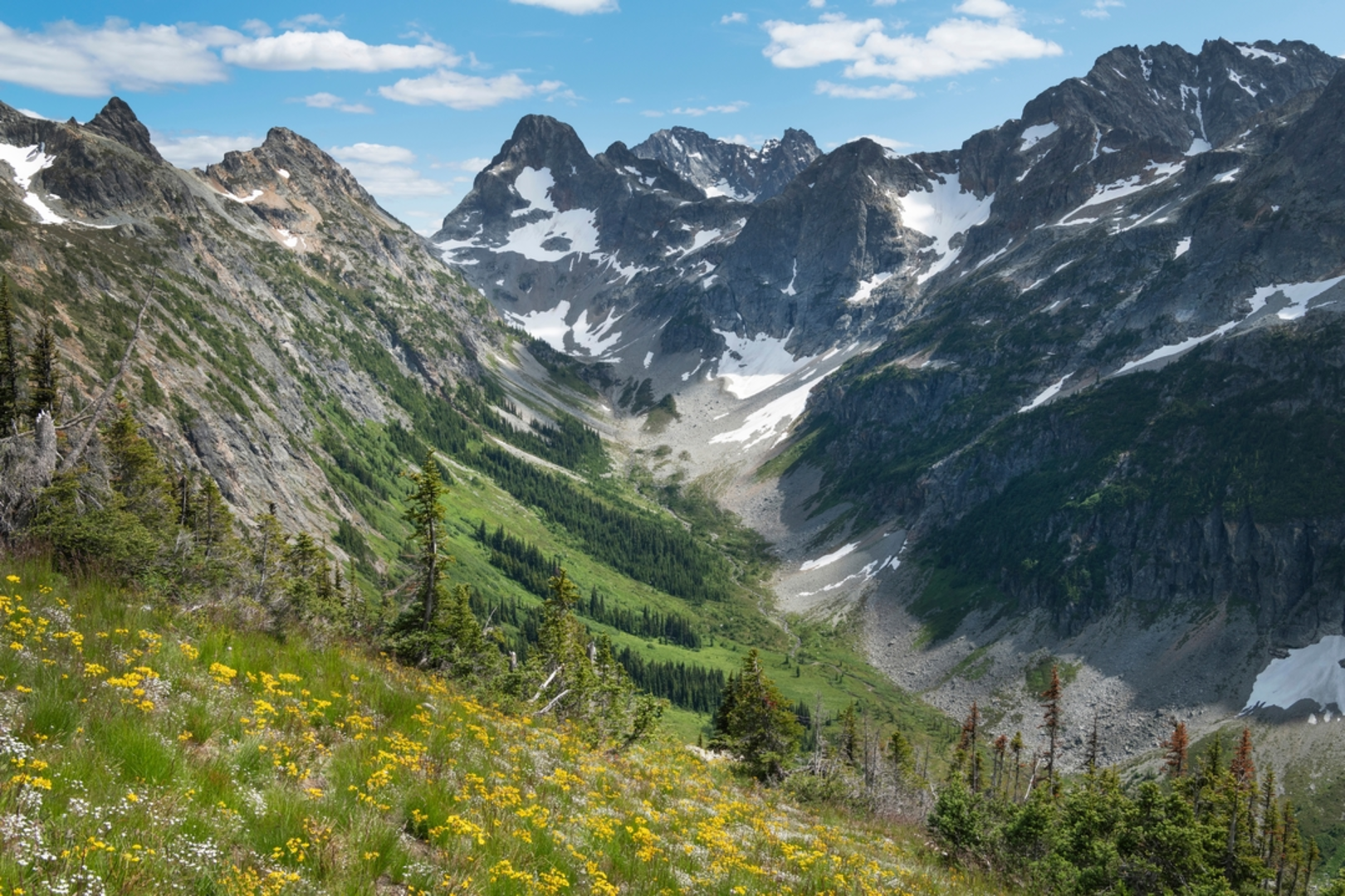 An image depicting the trail Fisher Creek via Easy Pass Trail and its surrounding area.