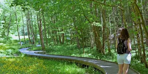 An image depicting the trail Wakefield Way and its surrounding area.