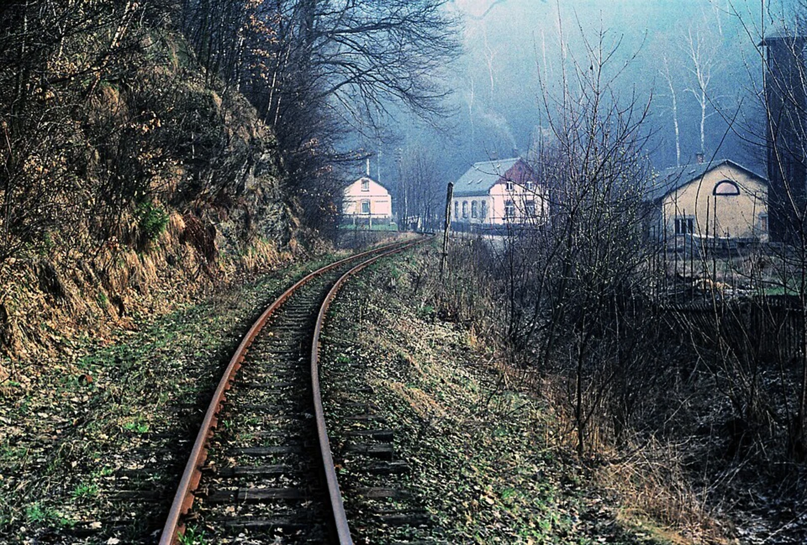 An image depicting the trail Affenstein Loop via Wilischthaler Straße and its surrounding area.