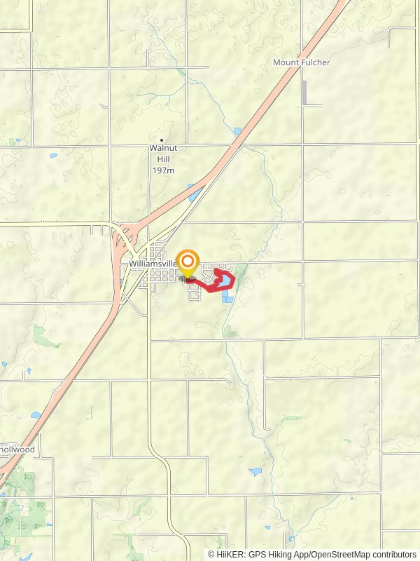 Williamsville Park Pond Loop