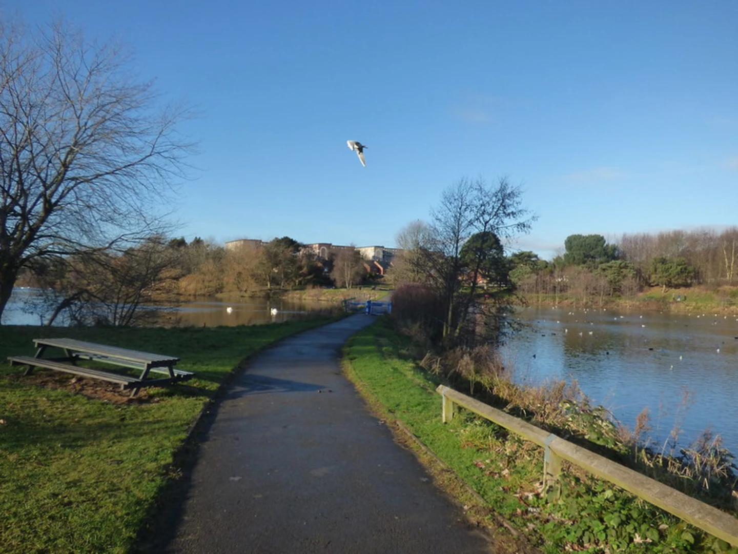 An image depicting the trail Bleak Hill Park and Witton Lakes and its surrounding area.