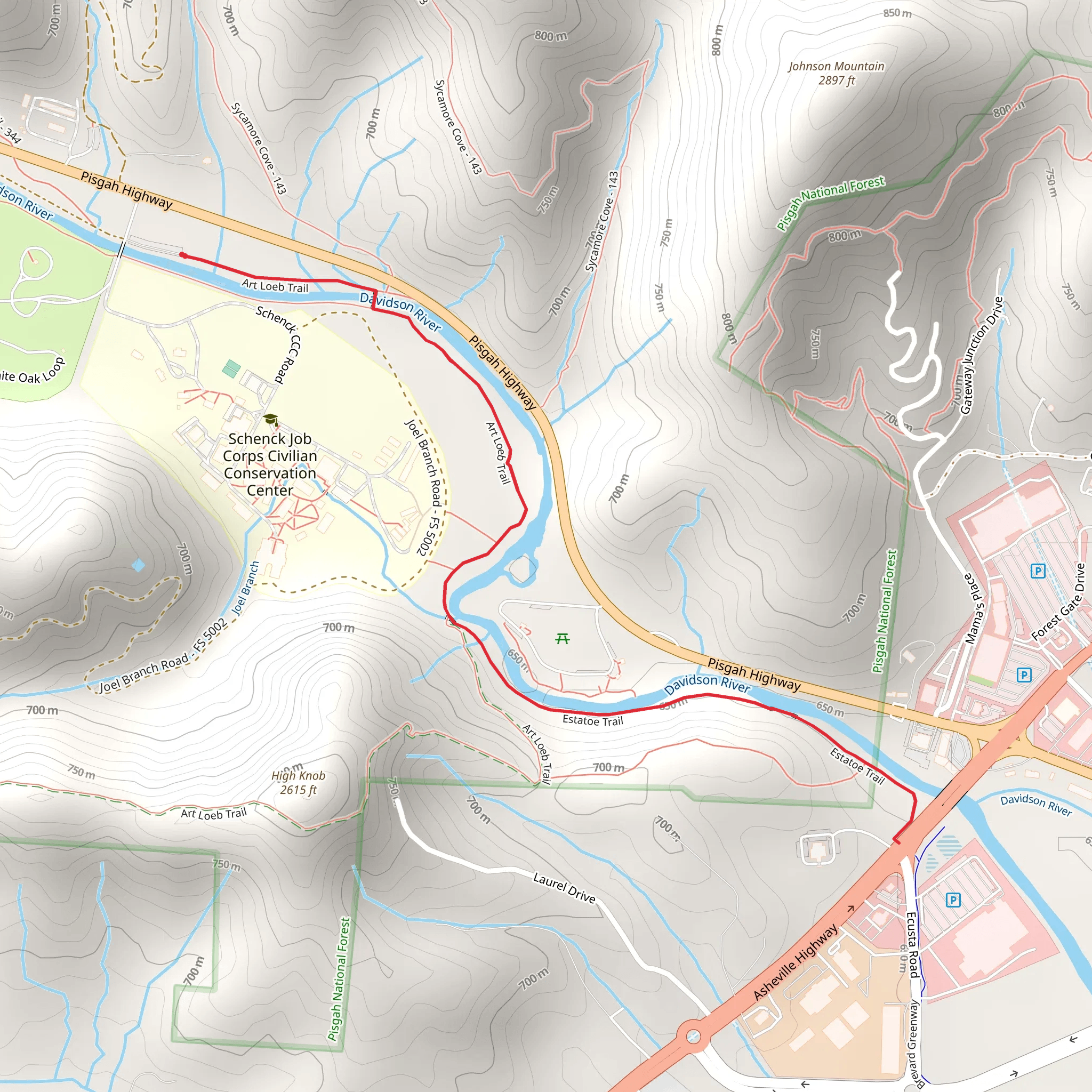 Estatoe Trail via Art Loeb Trail mobile static map