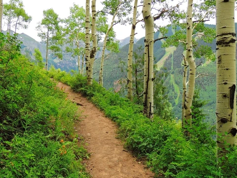 An image depicting the trail Jud Wiebe Trail and its surrounding area.