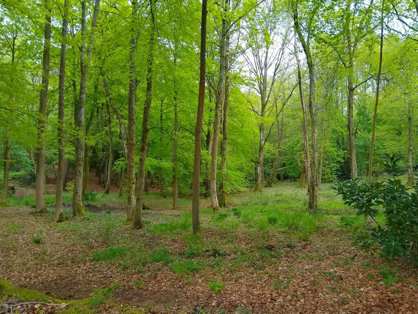 An image depicting the trail Kintbury to Inkpen Loop and its surrounding area.