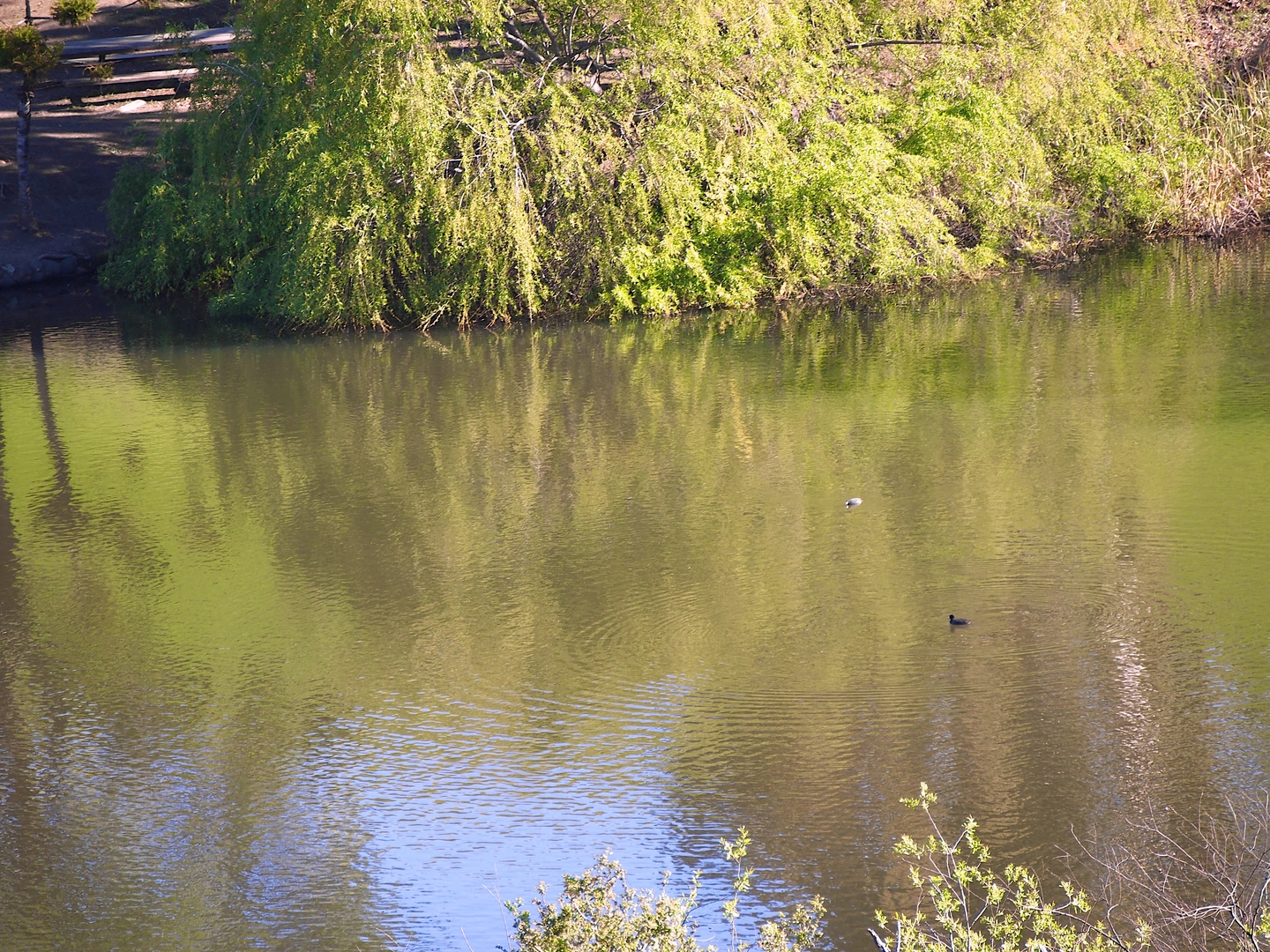An image depicting the trail Jordan Pond - Dry Creek - Ridge View Loop Trail and its surrounding area.