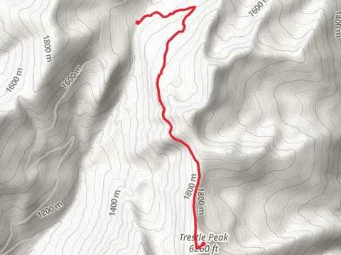 Trestle Peak Out and Back