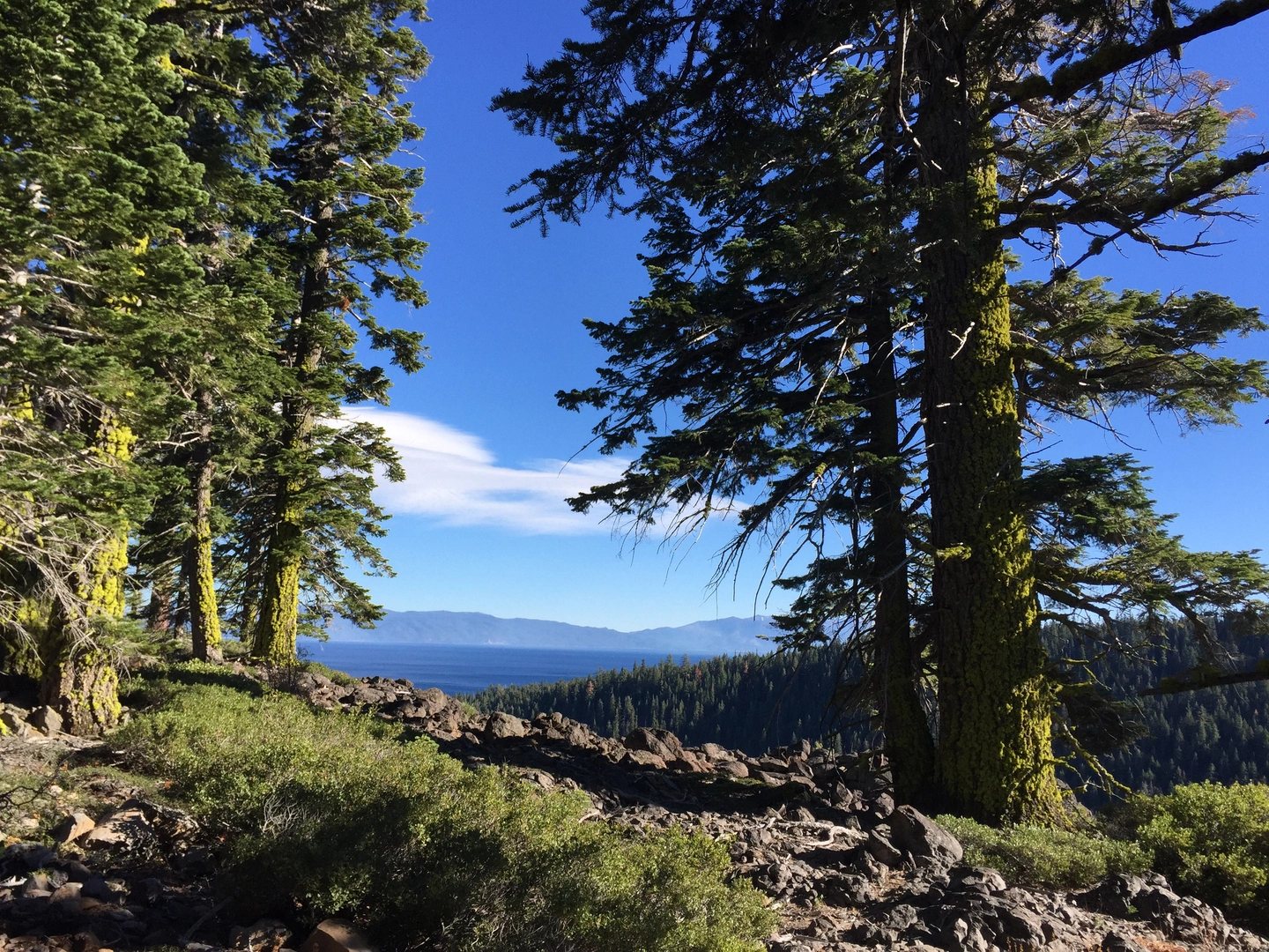 An image depicting the trail Tahoe Rim Trail to Rockway Summit and its surrounding area.
