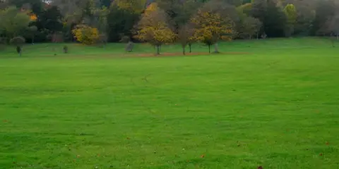An image depicting the trail Stanmer Park Walk and its surrounding area.