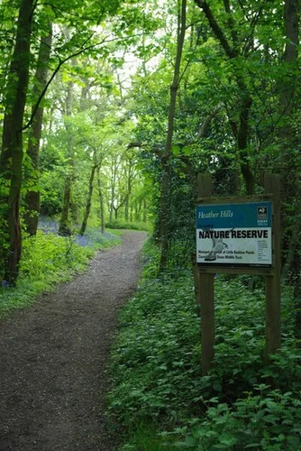 Heather Hills Nature Reserve, Bakes Wood and River Chelmer Loop