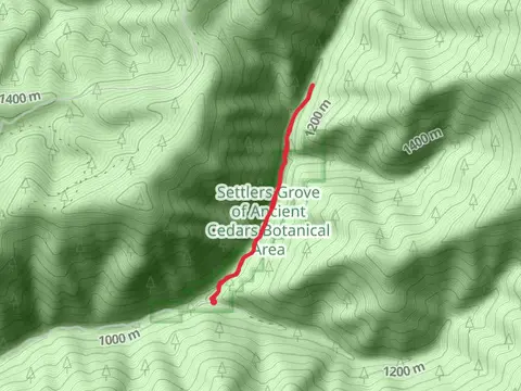 Settler's Grove Interpretive Trail