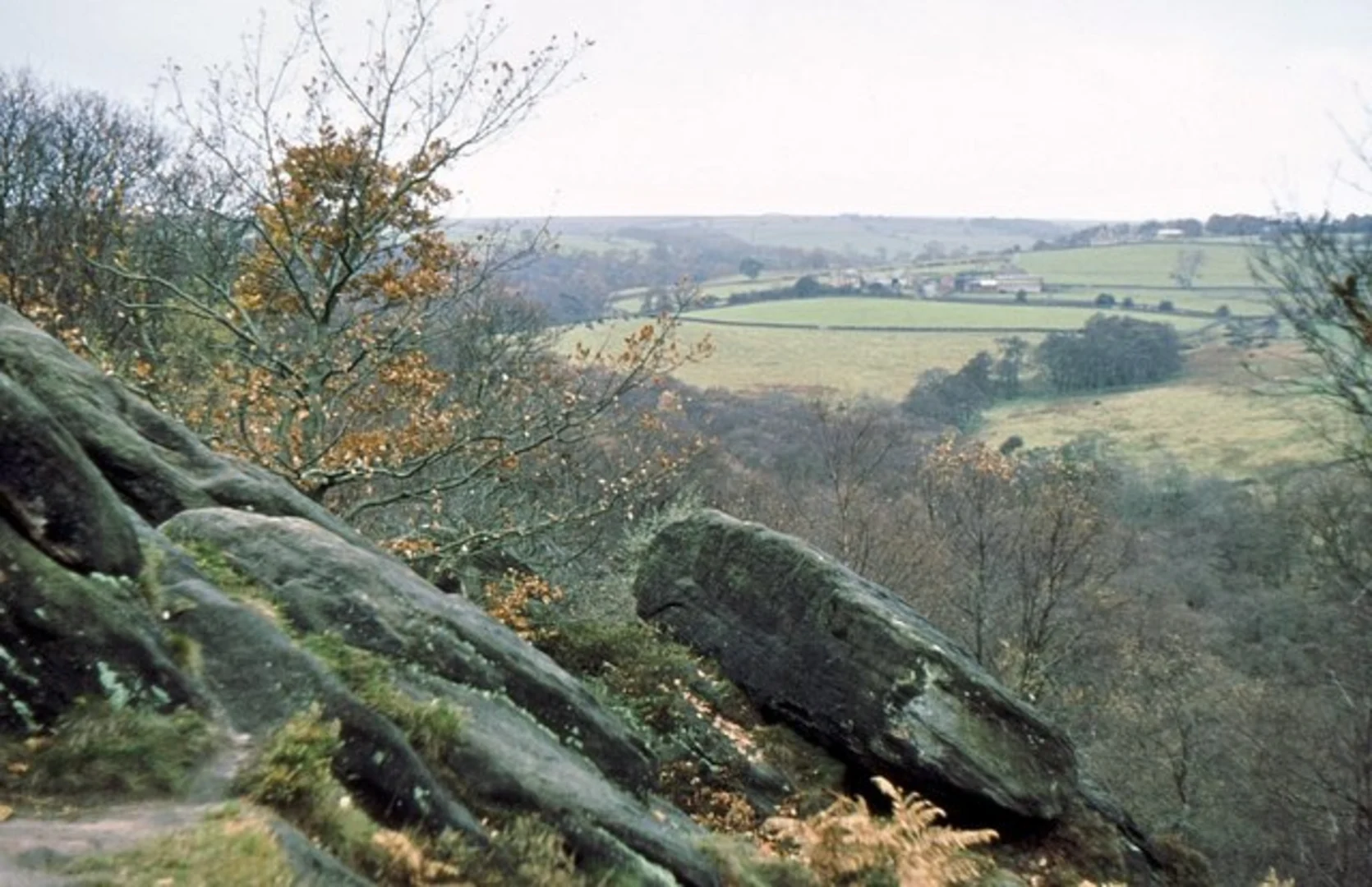 An image depicting the trail Pinewoods and Valley Gardens Pitch and Putt Loop and its surrounding area.
