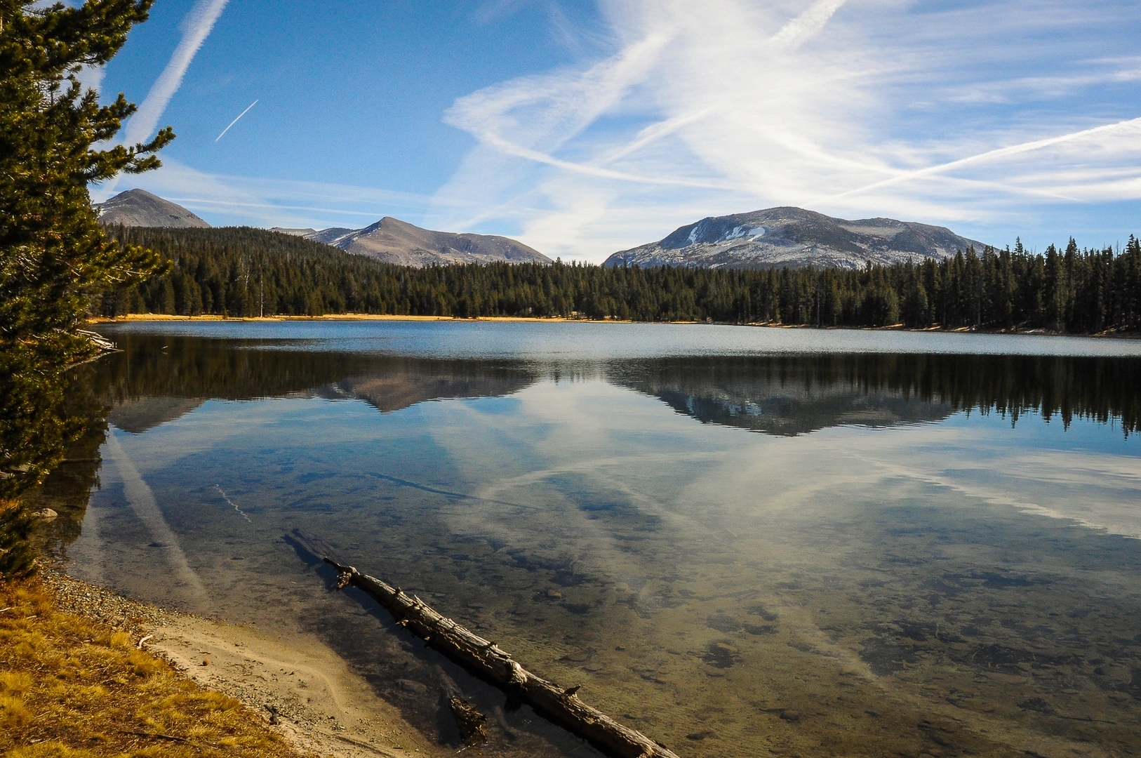 An image depicting the trail Dog Lake Loop Trail and its surrounding area.