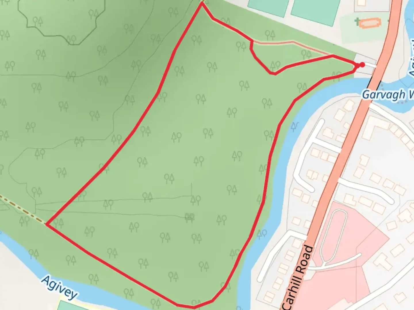 An image depicting the trail Garvagh Forest Pyramid Trail and its surrounding area.