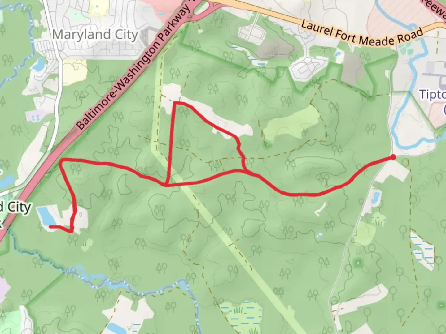 An image depicting the trail Blue Heron Pond and its surrounding area.