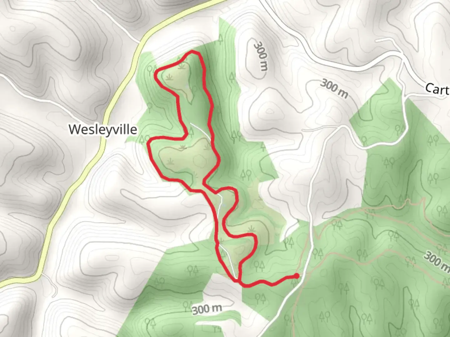 An image depicting the trail Ridge Top Loop Trail and its surrounding area.
