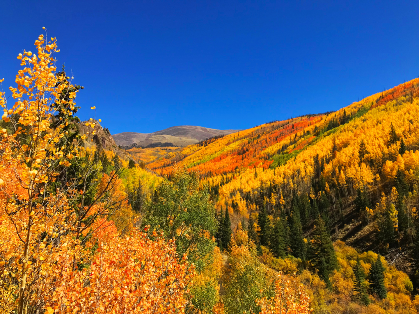 An image depicting the trail East Trout Trail via Trout Creek and its surrounding area.