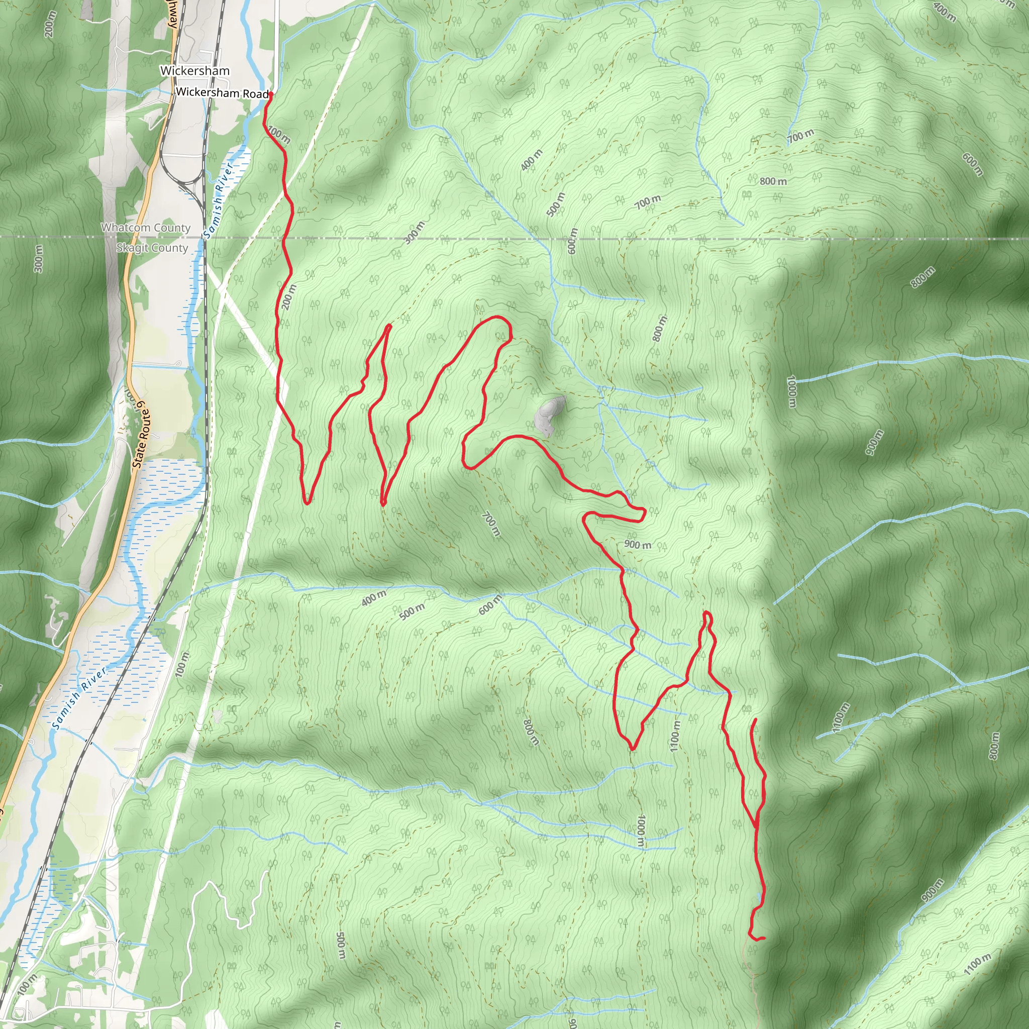 Pacific Northwest Trail from Wickersham mobile static map