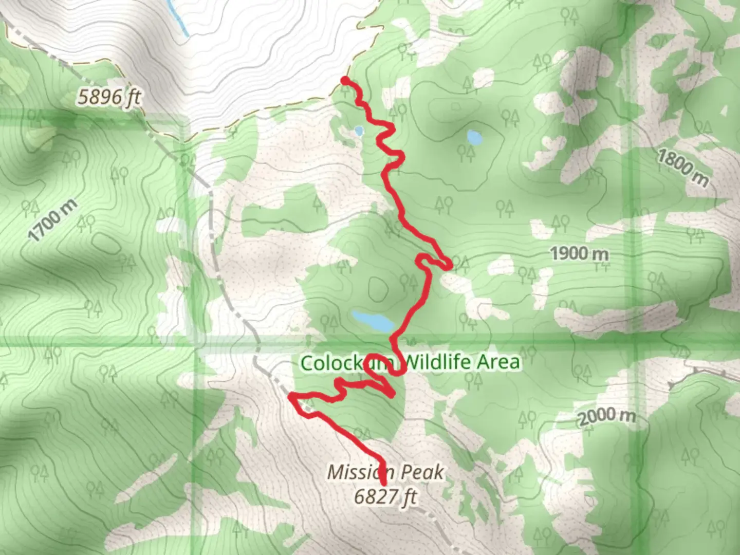 An image depicting the trail Mission Peak Walk and its surrounding area.