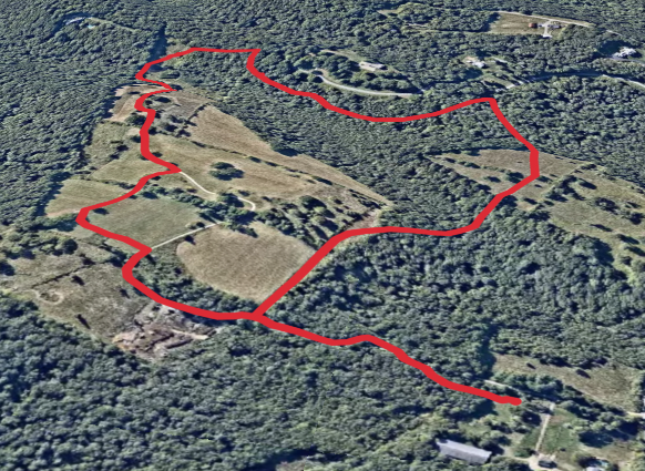 Willow Hill Loop Trail