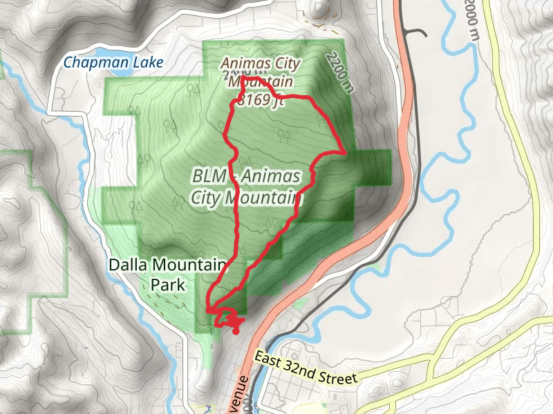Animas Mountain Loop Trail