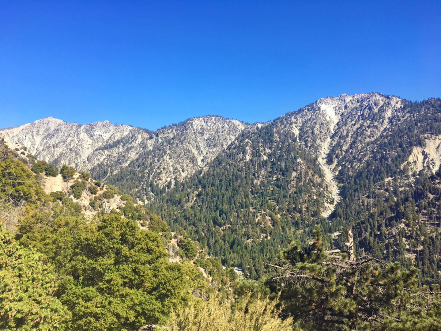An image depicting the trail Vivian Creek Trail and its surrounding area.