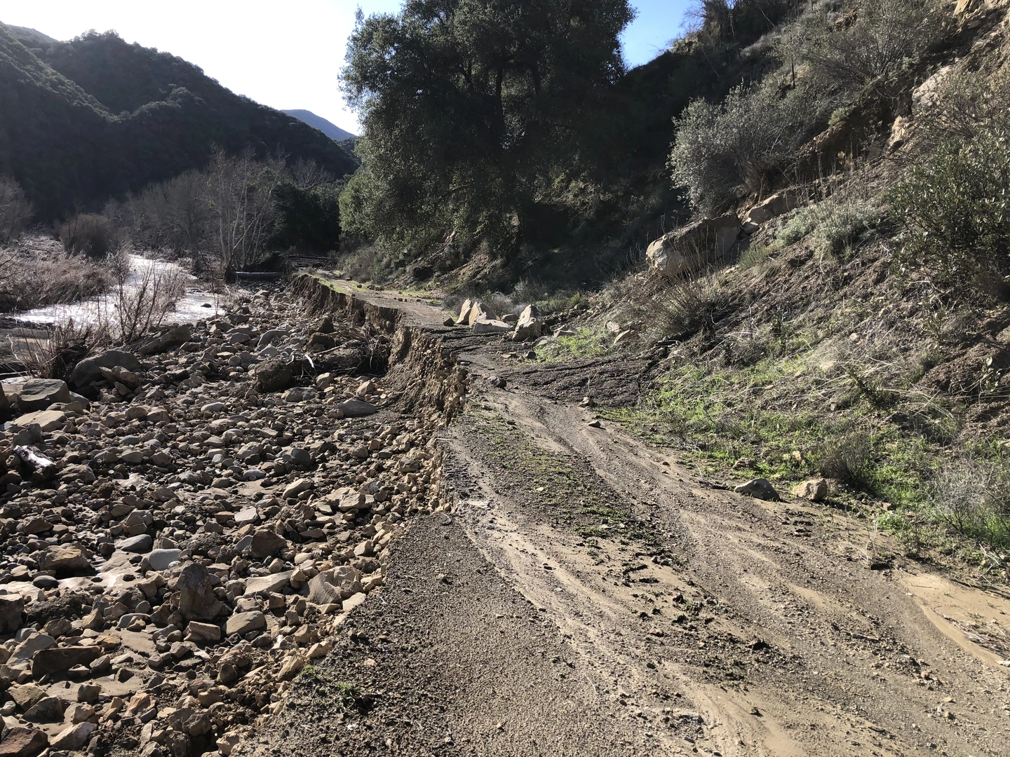 An image depicting the trail Romero Camuesa Road and its surrounding area.