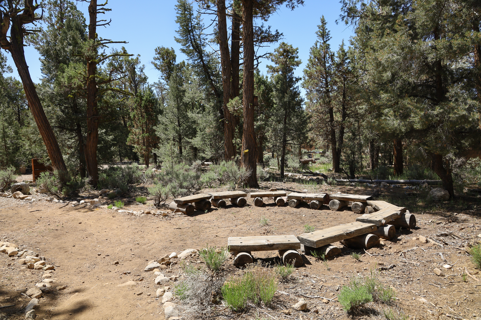 An image depicting the trail Old Pine, Sky, Meadow Loop Trail and its surrounding area.