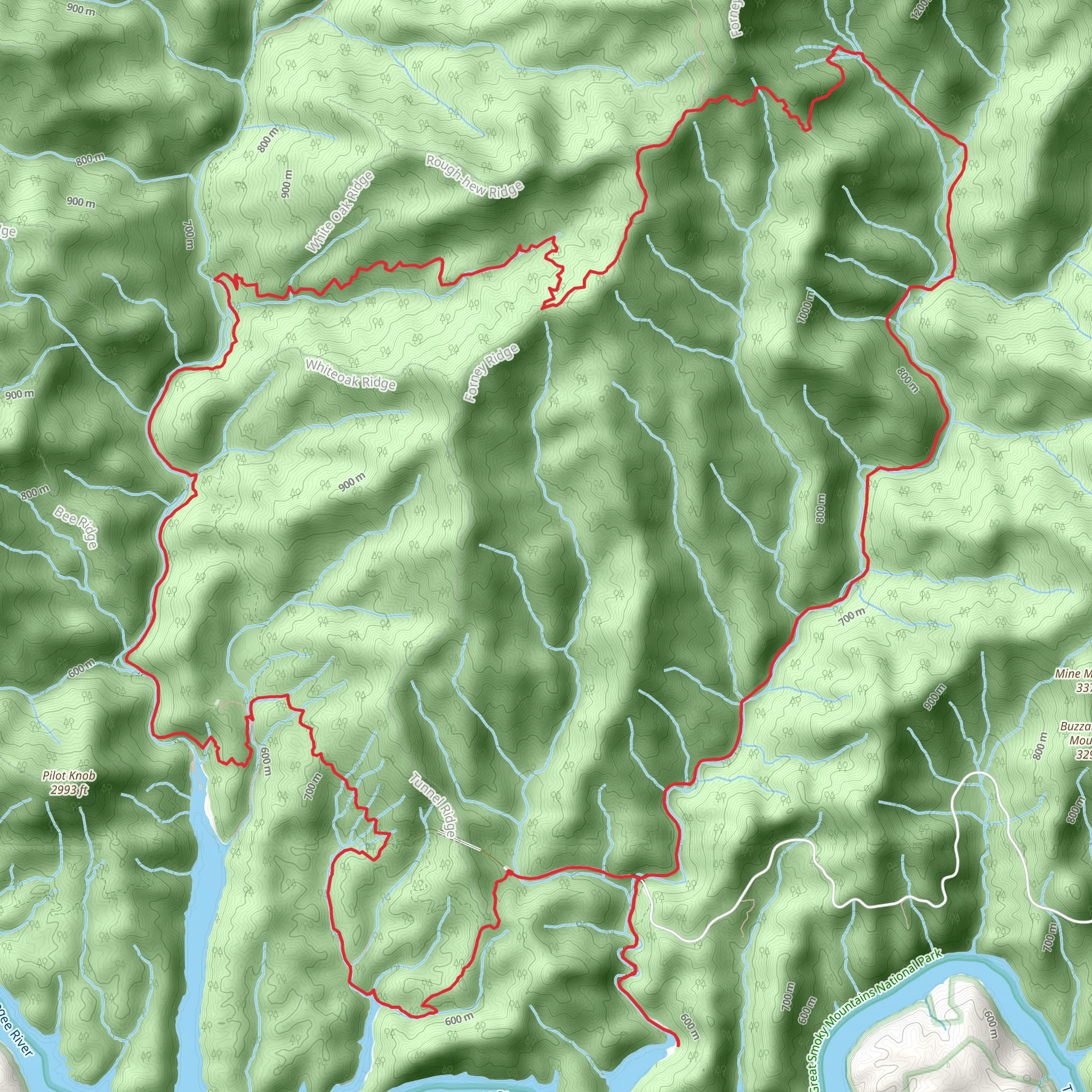 Tunnel Bypass, Goldmine, Springhouse Branch and Noland Creek Loop Trail mobile static map
