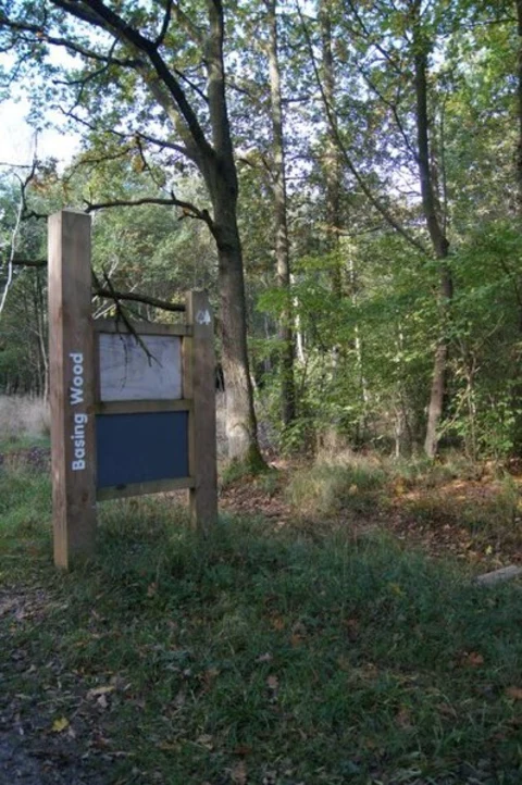 An image depicting the trail Basing Wood and great Germans Copse Loop and its surrounding area.