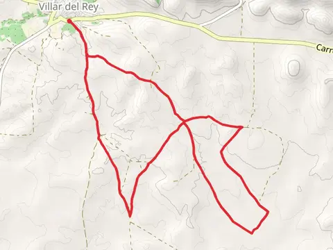 Cranes and Bustards PR BA 104