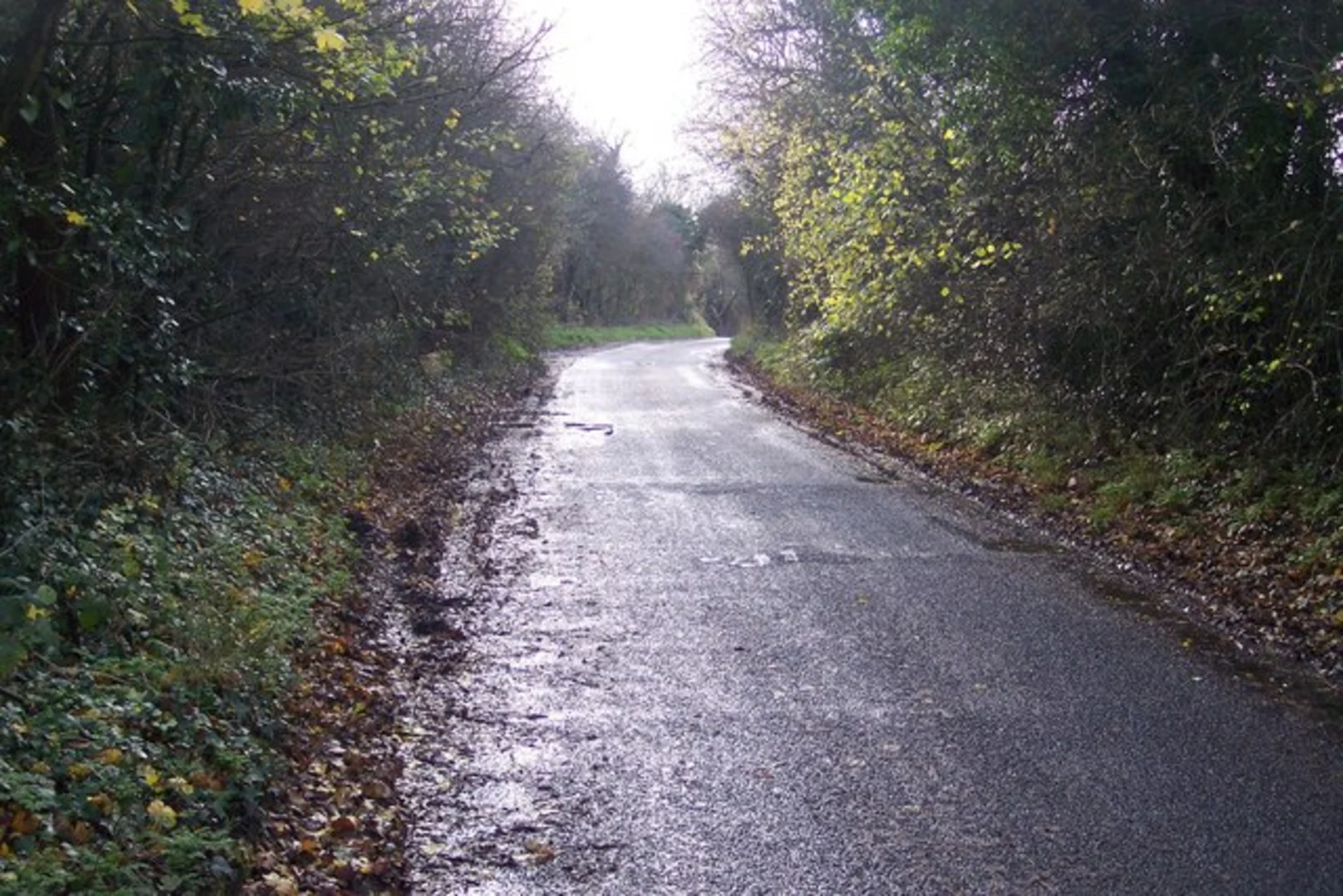 An image depicting the trail Ham Street to Ashford Walk and its surrounding area.