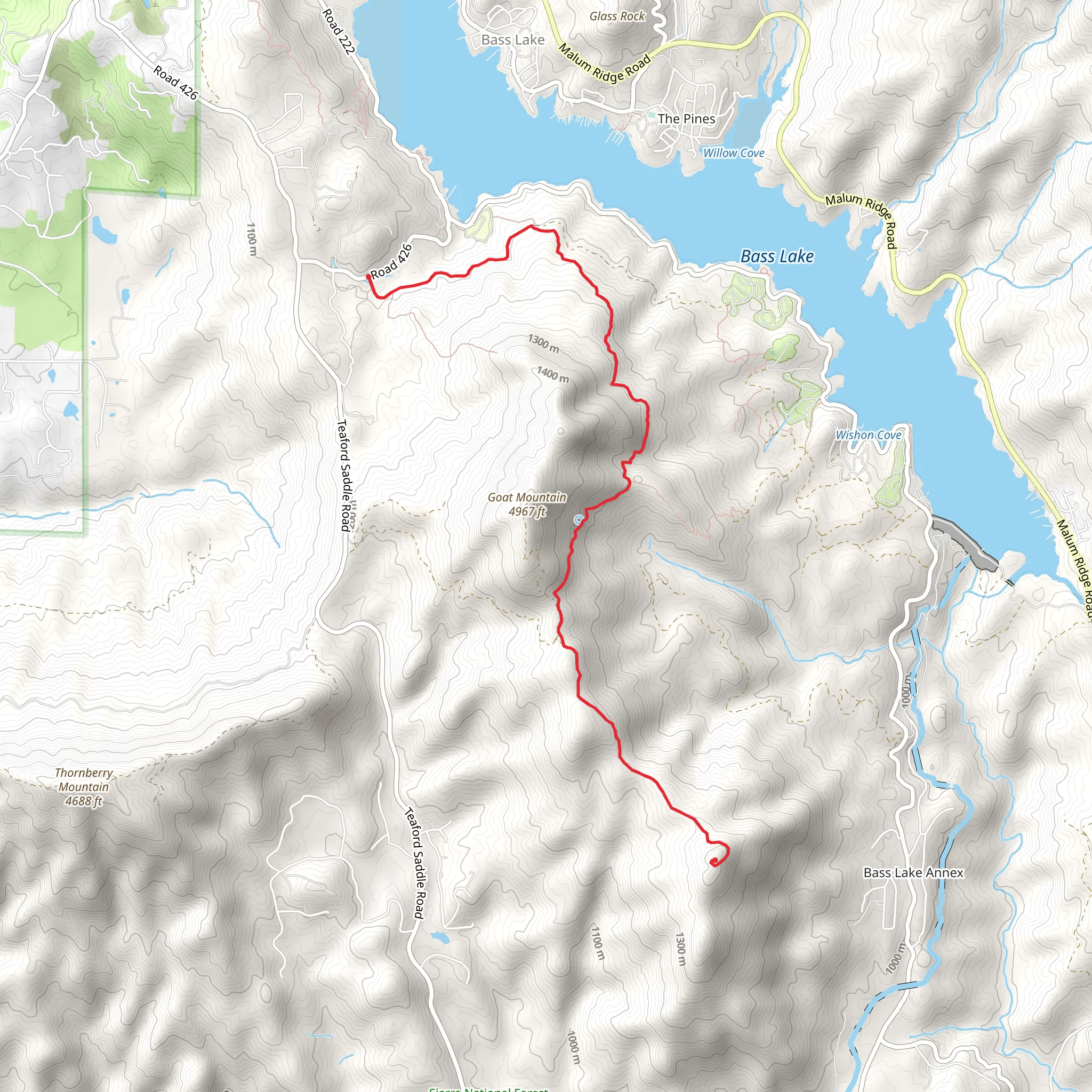 Goat Mountain Trail Out and Back mobile static map