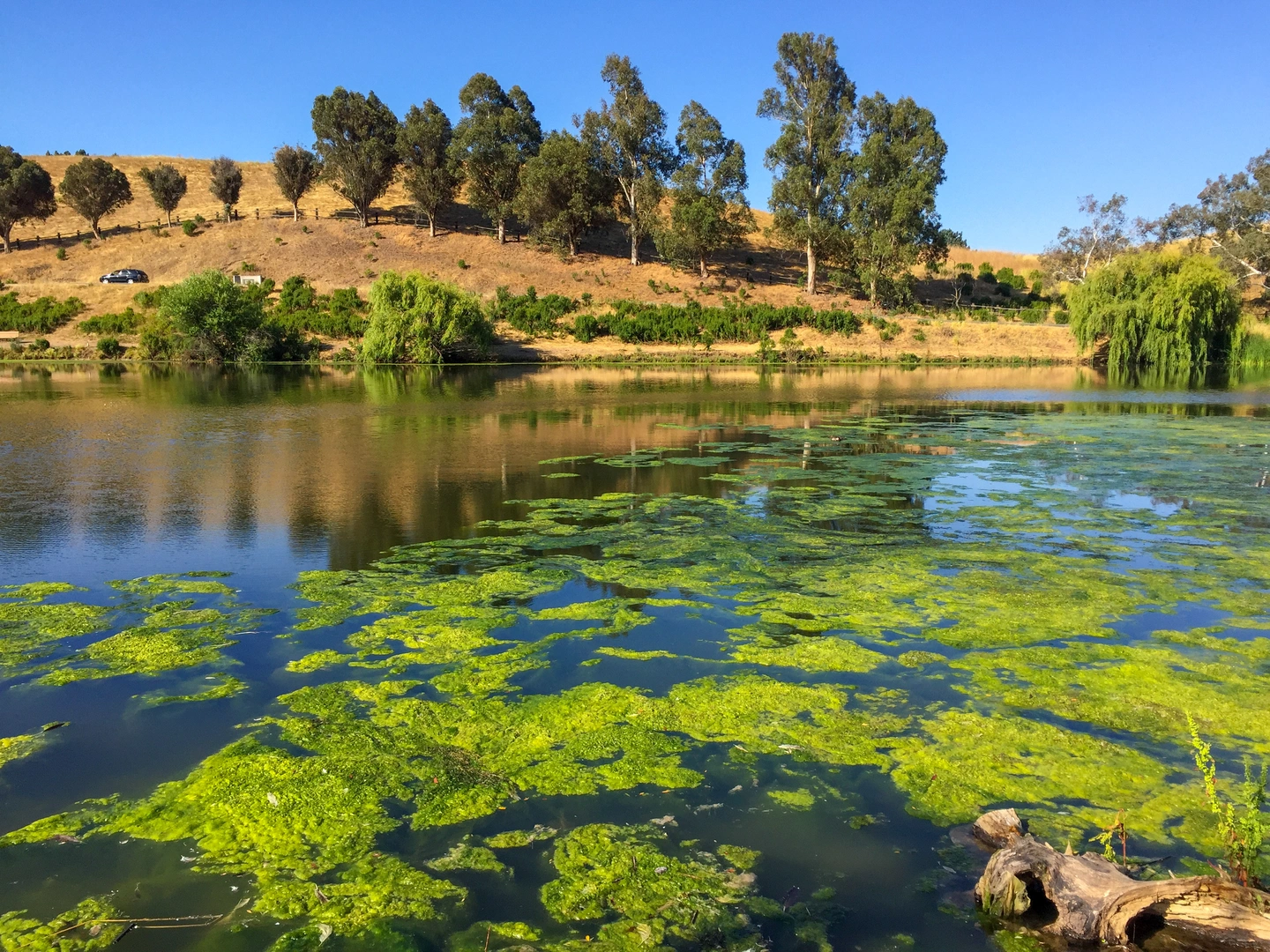 An image depicting the trail Sandy Wool Lake - Monument Peak Loop and its surrounding area.