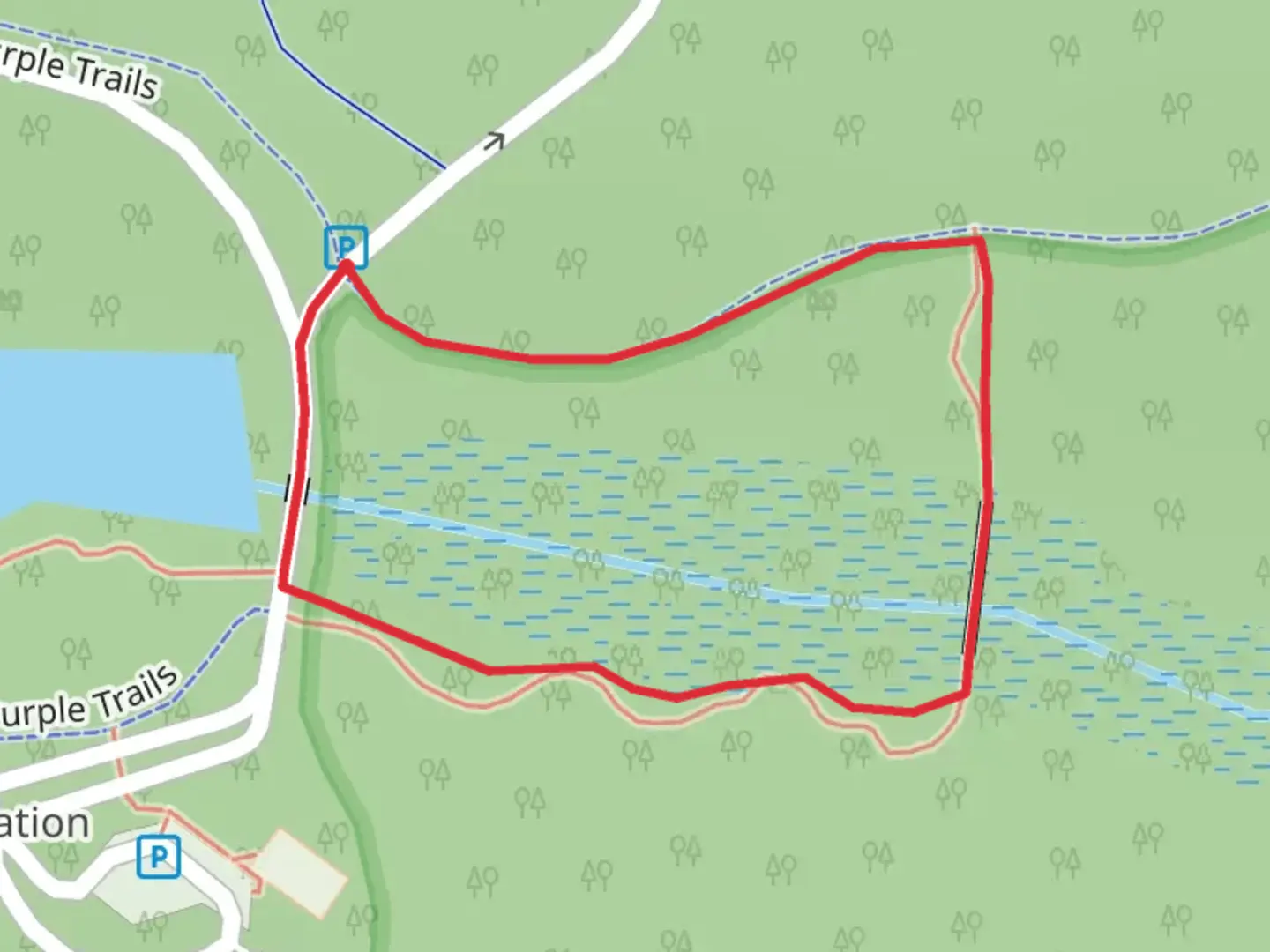 An image depicting the trail Absegami Silver Loop Trail and its surrounding area.